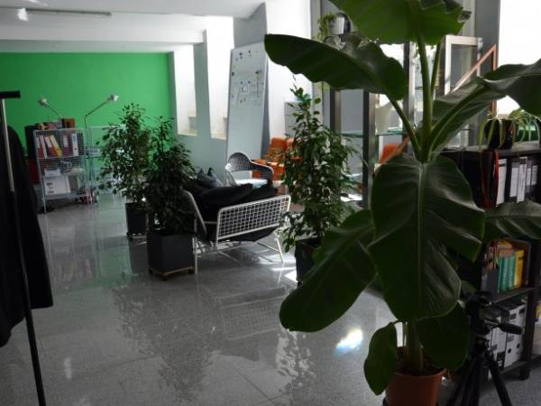 Schreibtischplätze in coolem Produktionsbüro nahe Schönbrunn — Bild 1