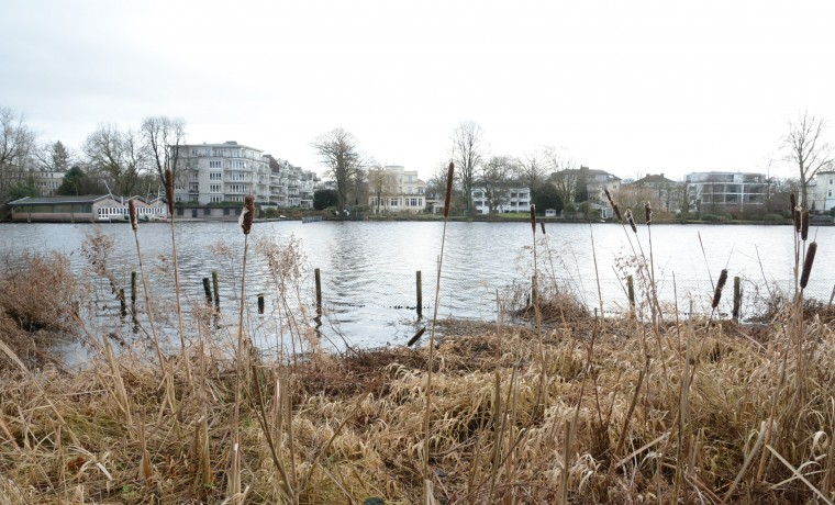 Office Sharing Bellevue Hamburg Winterhude
