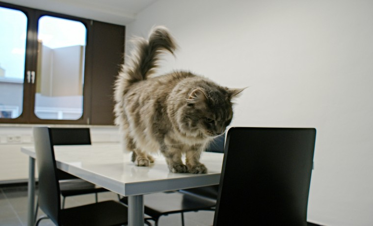 Coworking Benesistr. Köln Altstadt-Nord
