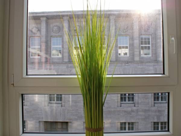 Lichtdurchflutete Büroräume in zentraler Lage in der Domstadt — Bild 2