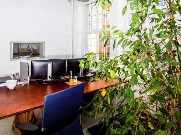 Büroarbeitsplatz mit Industrieflair in gemütlicher Hinterhoflage — Bild 2