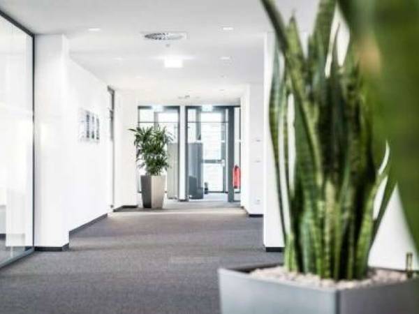 Modernisierte flexible Büroeinheiten und Arbeitsplätze im schönen Sauerlach — Bild 1
