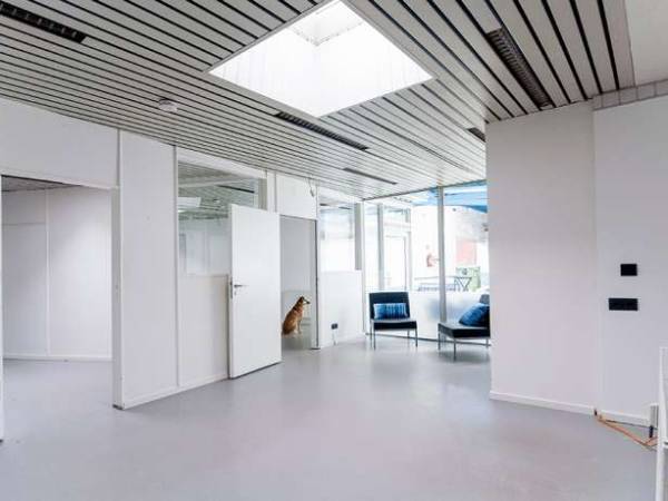 Schönes Hinterhofbüro in toller Lage in Flingern — Bild 3