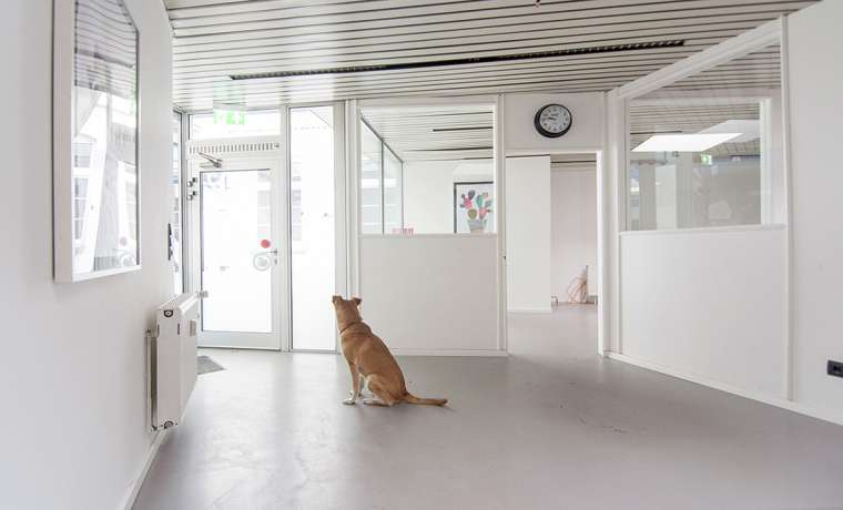 Coworking Hoffeldstraße Düsseldorf Flingern-Nord